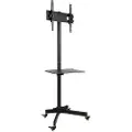 Techly 25 kg 55" Op til 400 x 400 mm