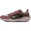 Nike Vandtætte Nike Pegasus 41 GORE-TEX-løbesko til vej til kvinder - brun