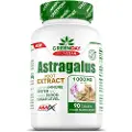 Amix Greenday Provegan Astragalus-ekstrakt 90 Enheder