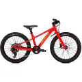 Specialized Riprock 20´´ Acolyte 2026 Mtb Cykel