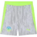 Puma Manchester City 25/26 Shorts Men, Sport, Cool Weather/Pro Green, M
