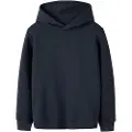 LMTD Regular Fit Hoodie