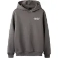 LMTD Regular Fit Hoodie