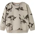 Name it Dinosaur- Sweatshirt
