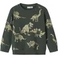 Name it Dinosaur- Sweatshirt