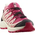 Salomon Xa Pro V8 Wp Vandresko