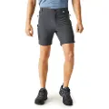 Regatta Mountain Ii Shorts