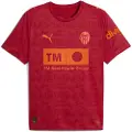 Puma Valencia CF 25/26 Away Jersey Men, Sport, Dark Crimson/Dark Earth, 3XL