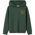 Name It Kids Økologisk Bomuld Hoodie
