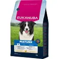 Eukanuba Mature Medium kylling hundefoder