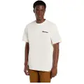 Dickies Statesville T-shirt Med Korte ærmer