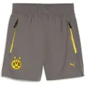 Puma Borussia Dortmund PUMATECH Relaxed Shorts Youth, Clothing, Cool Dark Gray/Faster Yellow, 5-6Y