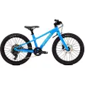 Specialized Riprock 20´´ Acolyte 2026 Mtb Cykel
