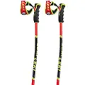 LEKI Wcr Tbs Gs 3d Spadserestokke