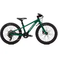 Specialized Riprock 20´´ Acolyte 2026 Mtb Cykel