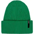 POC Beanie