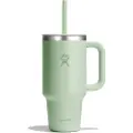 Hydroflask All Around 950ml Termokrus