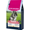 Eukanuba Senior Small kylling hundefoder