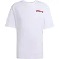 Adidas Originals Graphic Loose T-shirt Med Korte ærmer