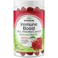 Swanson Health Immune Boost med hindbærsmag, 60 gummibamser