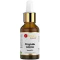 Yango - Klæbende Hemlock 20:1, 30 ml