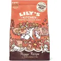 Lily's Kitchen Puppy Recipe kylling med laks hundefoder