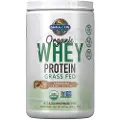Garden of life Økologisk Whey Protein - Græsfodret, Chokolade Jordnøddesmør - 390g
