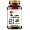 Yango - Brændenælde Silicium 100 kapsler