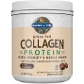 Garden of life Græsfodret Kollagenprotein, Chokolade - 588 g