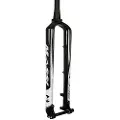 Massi Mtb Rigid Carbon 1 1/8´´ 480 Mm Mtb-forgaffel