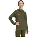 Adidas Tiro 25 Essentials Winterized Training Hættetrøje