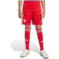 Adidas Fc Bayern 25/26 Gk Målmand Third Junior-shorts