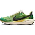 Nike Pegasus 41 SE-løbesko til vej til mænd - multifarvet