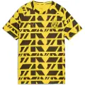 Puma Borussia Dortmund Pre-match Jersey Youth, Clothing, Faster Yellow/Black, 5-6Y
