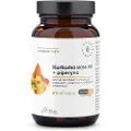 Aura Herbals - Gurkemeje 500 mg BCM-95 + Piperin 60 kapsler