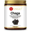 Yango - Chagaekstrakt med 10% polysakkarider 50 g