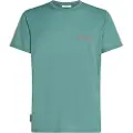 Icebreaker Merino 150 Tech Lite Ib Wordmark T-shirt Med Korte ærmer