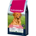Eukanuba Senior Large med lam & ris hundefoder