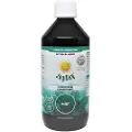 Joy Day Probiotisk drikkekoncentrat, mynte - 500 ml