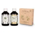 Joy Day ProbioBorelio - 2 x 300 ml