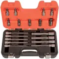 Bahco 1/2´´ Hex Tips 18 Unidades Nøglesæt