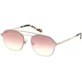 WEB EYEWEAR We0248-21g Solbriller