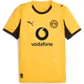 Puma Borussia Dortmund 25/26 Cup Jersey Men, Sport, Yellow Sizzle/Black, S