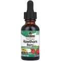 Natures Answer Hvidtjørnebær, 2000 mg - 30 ml