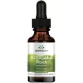 Swanson Health Astragalus Rod Ekstrakt 29,6 ml