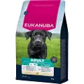 Eukanuba Adult Large kylling hundefoder