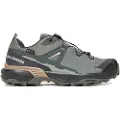 Salomon X Ultra 360 Goretex Vandresko