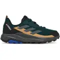 Adidas Terrex Anylander Vandresko