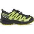 Salomon Xa Pro V8 Vandresko