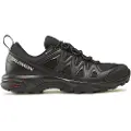 Salomon X Braze Goretex Vandresko